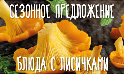 Блюда с лисичками