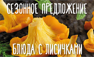 СЕЗОННОЕ ПРЕДЛОЖЕНИЕ В КАФЕ СИТИ
